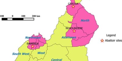 Kamerun, mis näitab piirkondade kaart